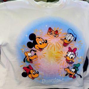 New Disneyland crop sweater